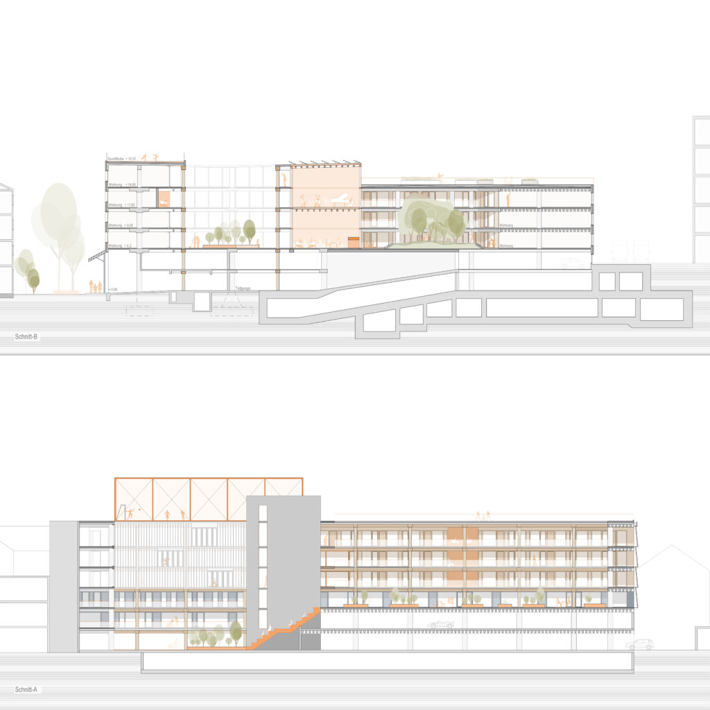 Architektonische Schnittzeichnungen eines mehrstöckigen Gebäudes mit mehreren Räumen und Grünflächen, erstellt in Archicad. Die von Anna-Lena Schraven entworfenen Pläne zeigen großzügige Fenster und Dachflächen aus zwei verschiedenen Blickwinkeln.